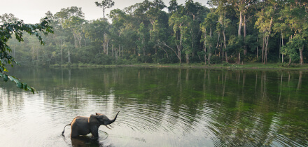 Visa requirements for Canada passport holders traveling to Congolese